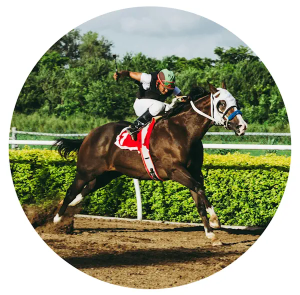 Horse Racing Image